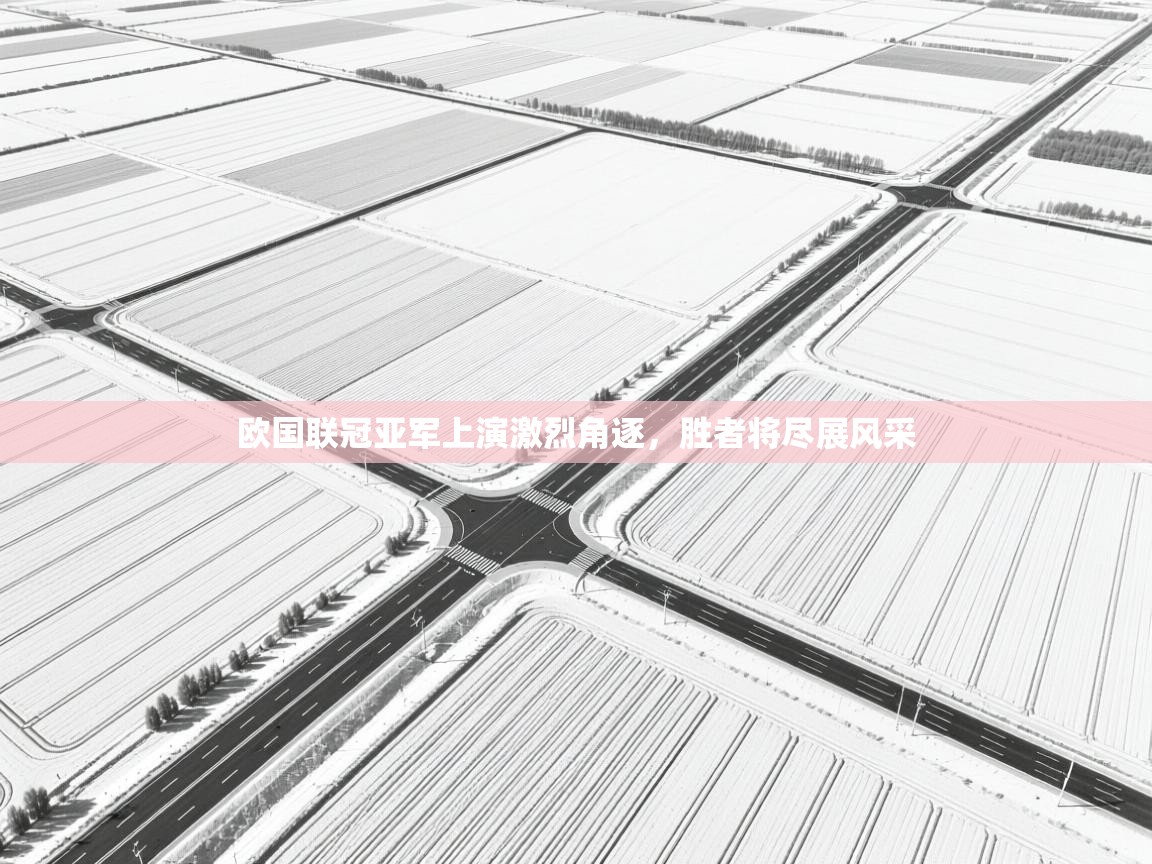 欧国联冠亚军上演激烈角逐，胜者将尽展风采  第2张